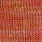 Preview: Sockenwolle 6fach, handgefärbt,100g, Farbe 18