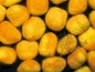 Preview: 5 Filznuggets Tricolor Gelbtöne