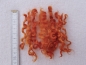 Preview: Wensleydale-Locken, 20g, handgefärbt (orange)
