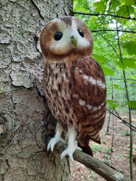 Preview: Filztiermodell Waldkauz (Strix aluco) - AUF BESTELLUNG