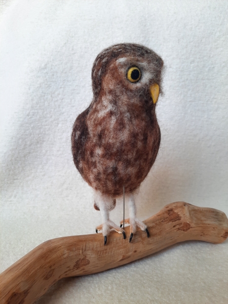 Filztiermodell Steinkauz (Athene noctua)