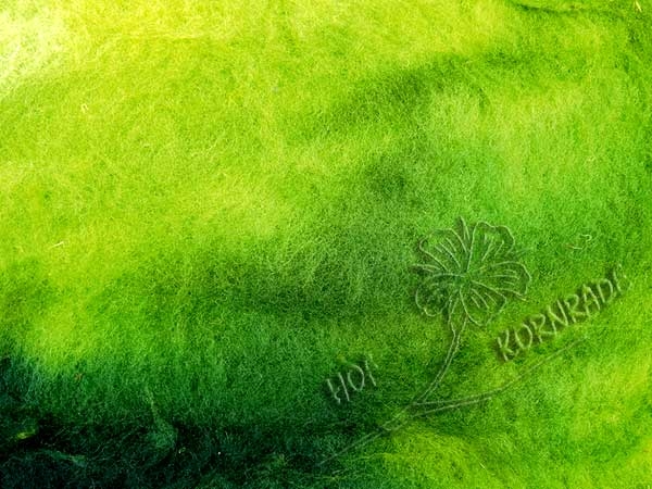 Merinokrempelvlies "Floating Colour" - Wald, 100g