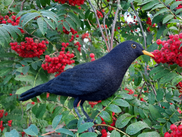 Filztiermodell Amsel (Turdus merula), männlich - AUF BESTELLUNG