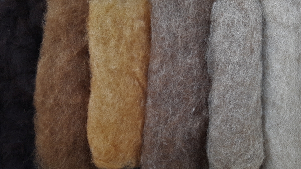 Krempelvlies Bergschaf - Farbzusammenstellung Natur, Brauntöne 100g