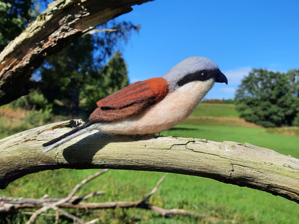 Fingerpuppe Neuntöter (Lanius collurio) - AUF BESTELLUNG