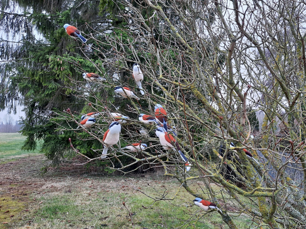 Fingerpuppe Neuntöter (Lanius collurio) - AUF BESTELLUNG