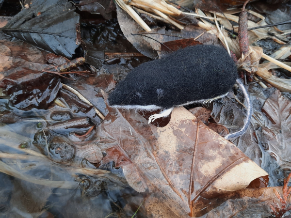 Filztiermodell Wasserspitzmaus (Neomys fodiens) - AUF BESTELLUNG