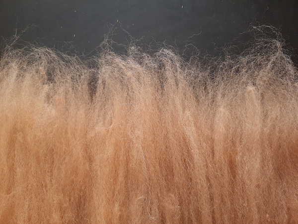 Alpakawolle handkardiert, light fawn (hellbraun)